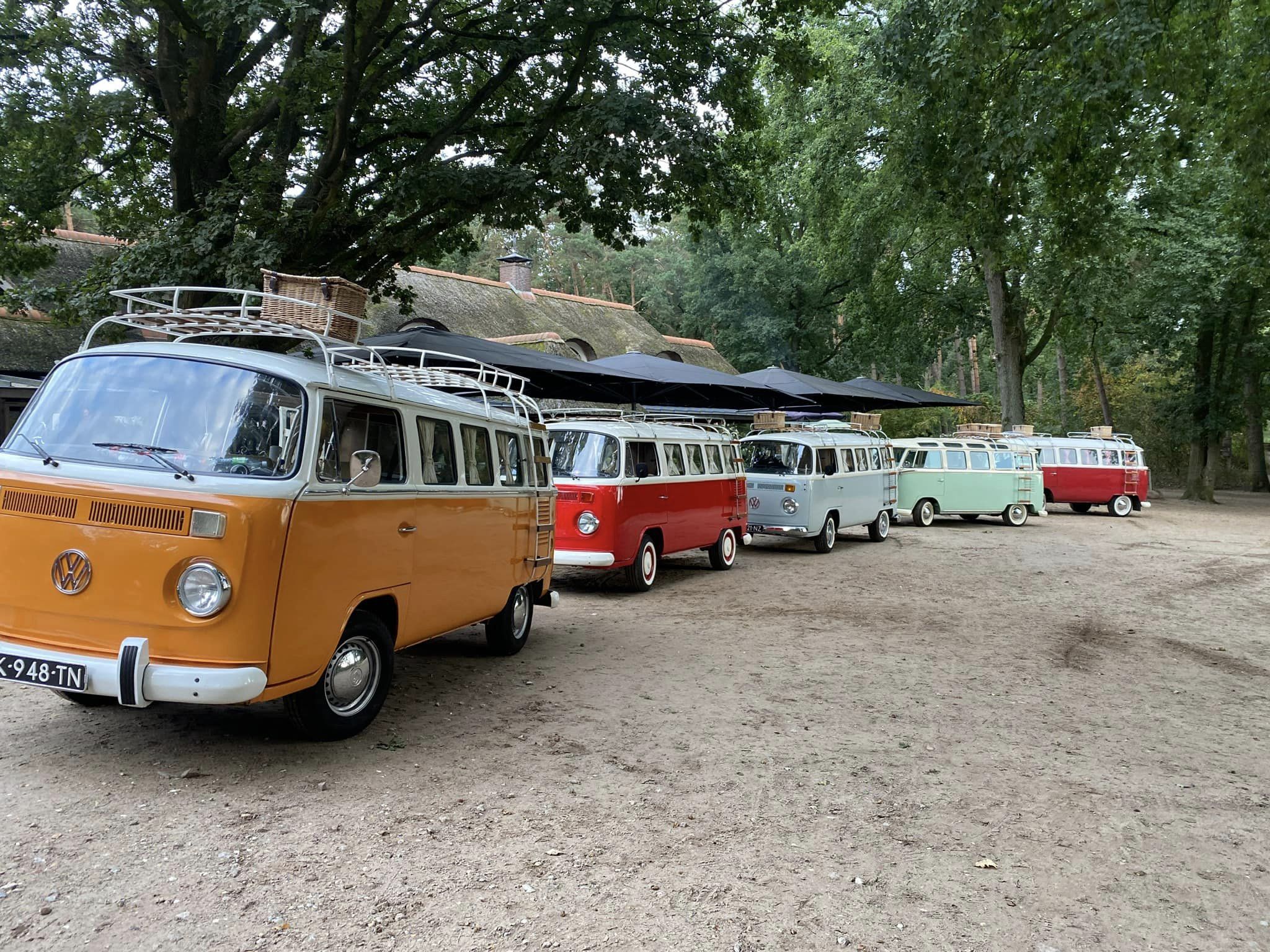 420017075_791574372984699_3077832591211665305_n
