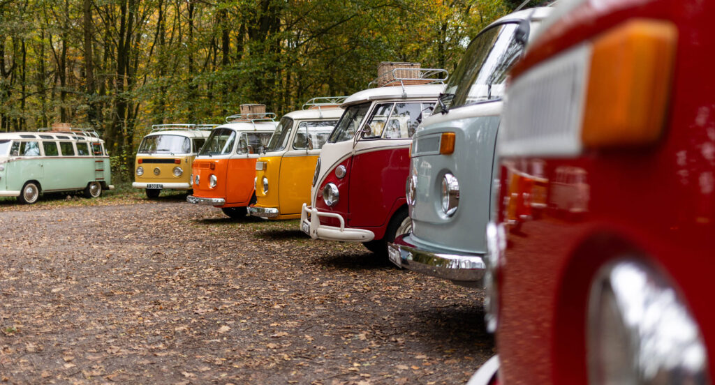 rij-met-volskwagen-oldtimer-busjes